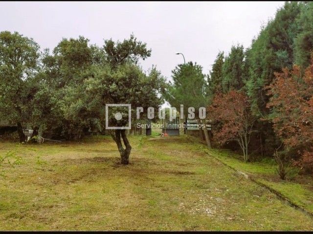 Entorno