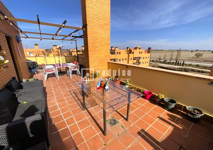 Terraza