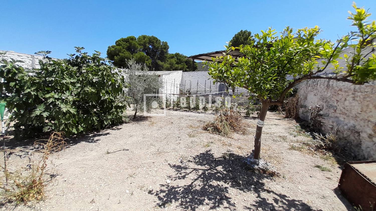 Jardín