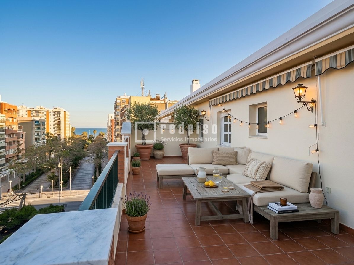 Terraza