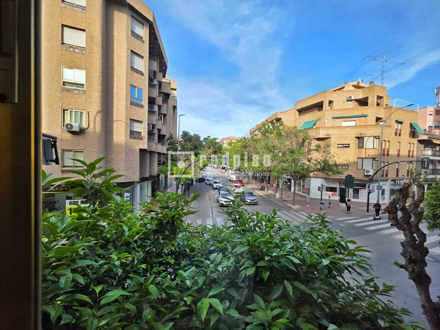 Plano de la vista