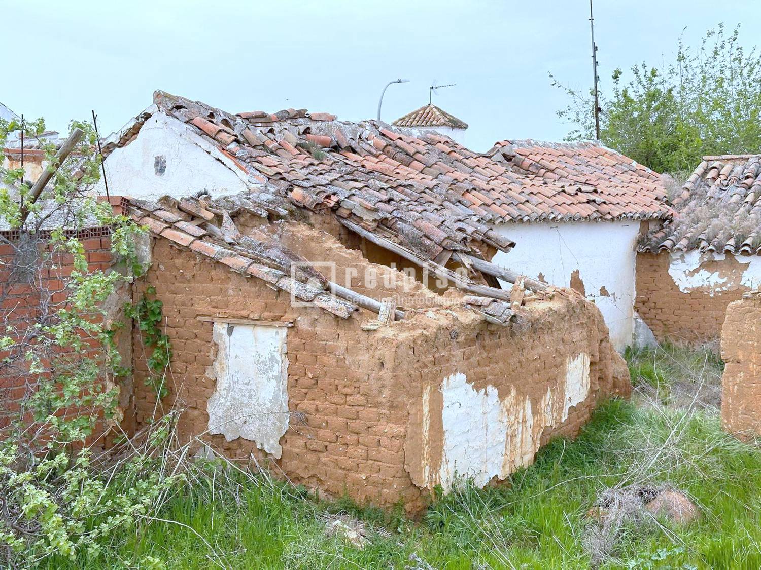 Entorno