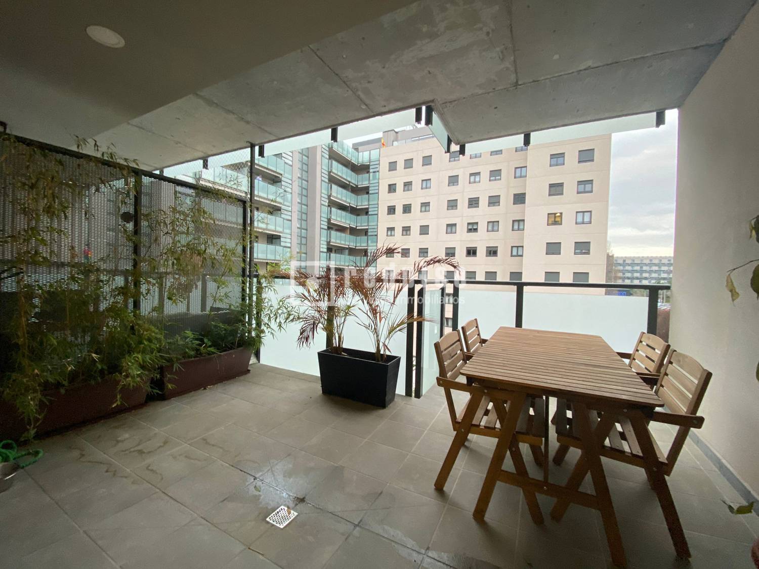 Terraza