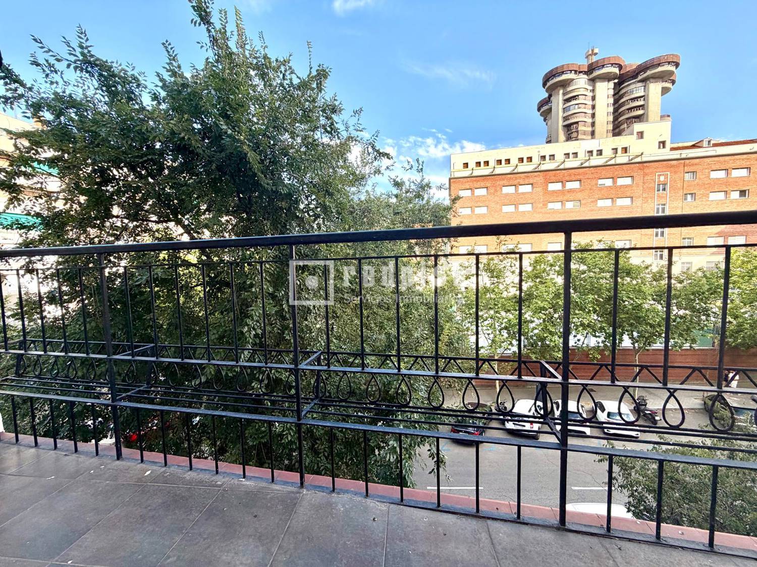Terraza