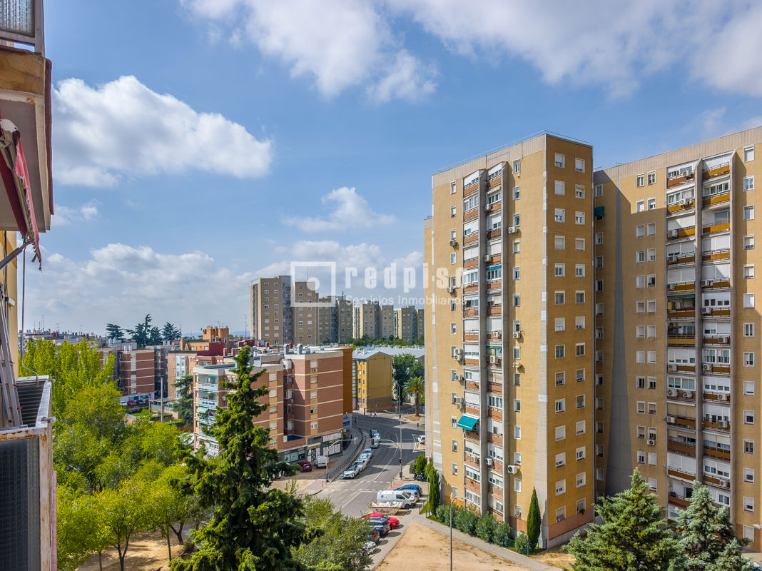 Plano de la vista