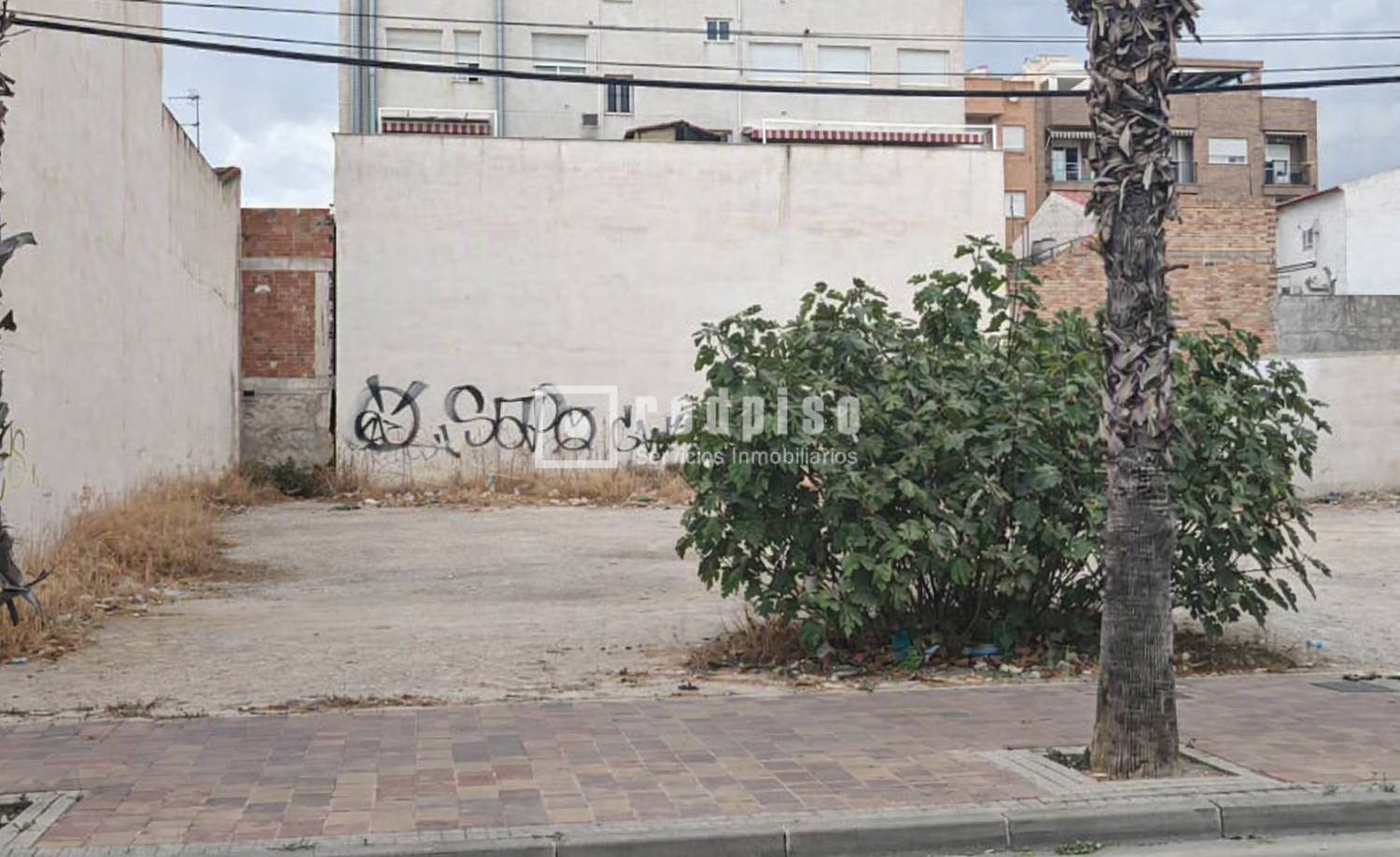 Imagen de #1