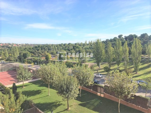 Plano de la vista