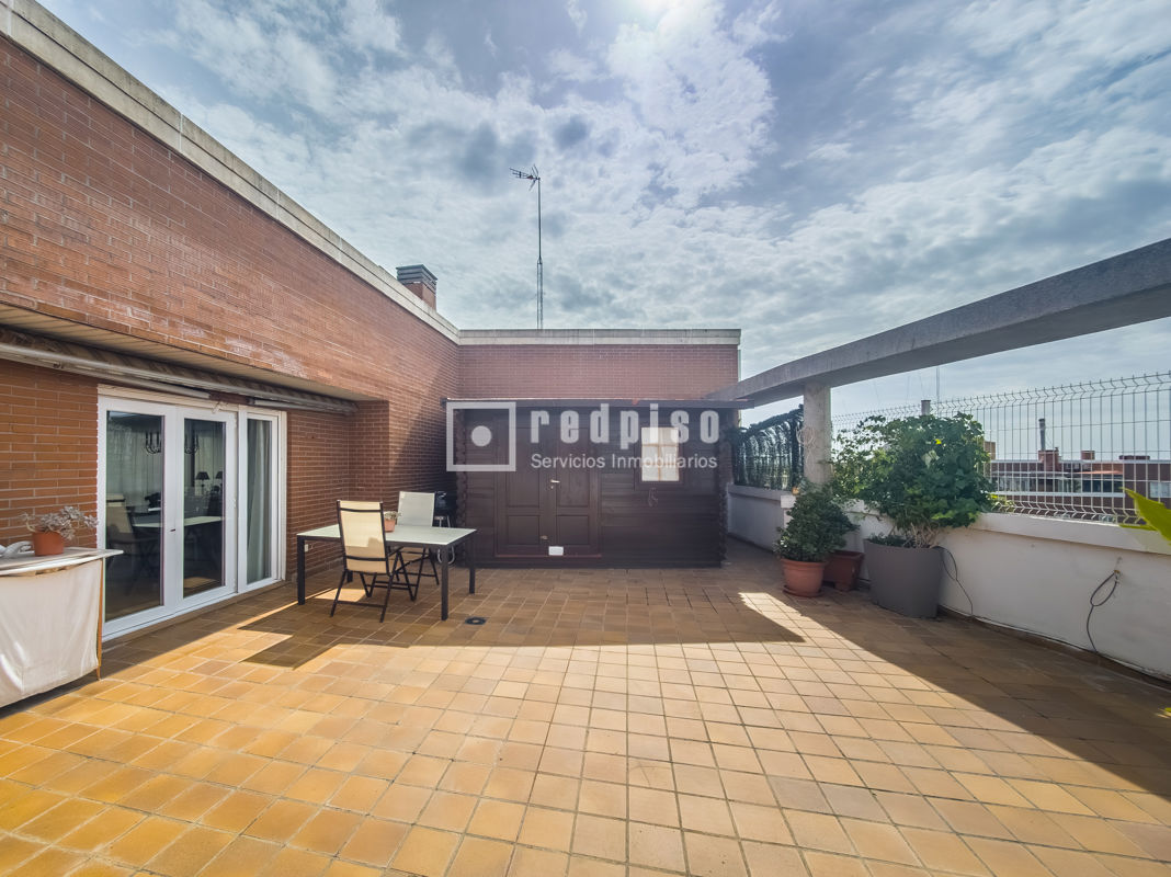 Terraza