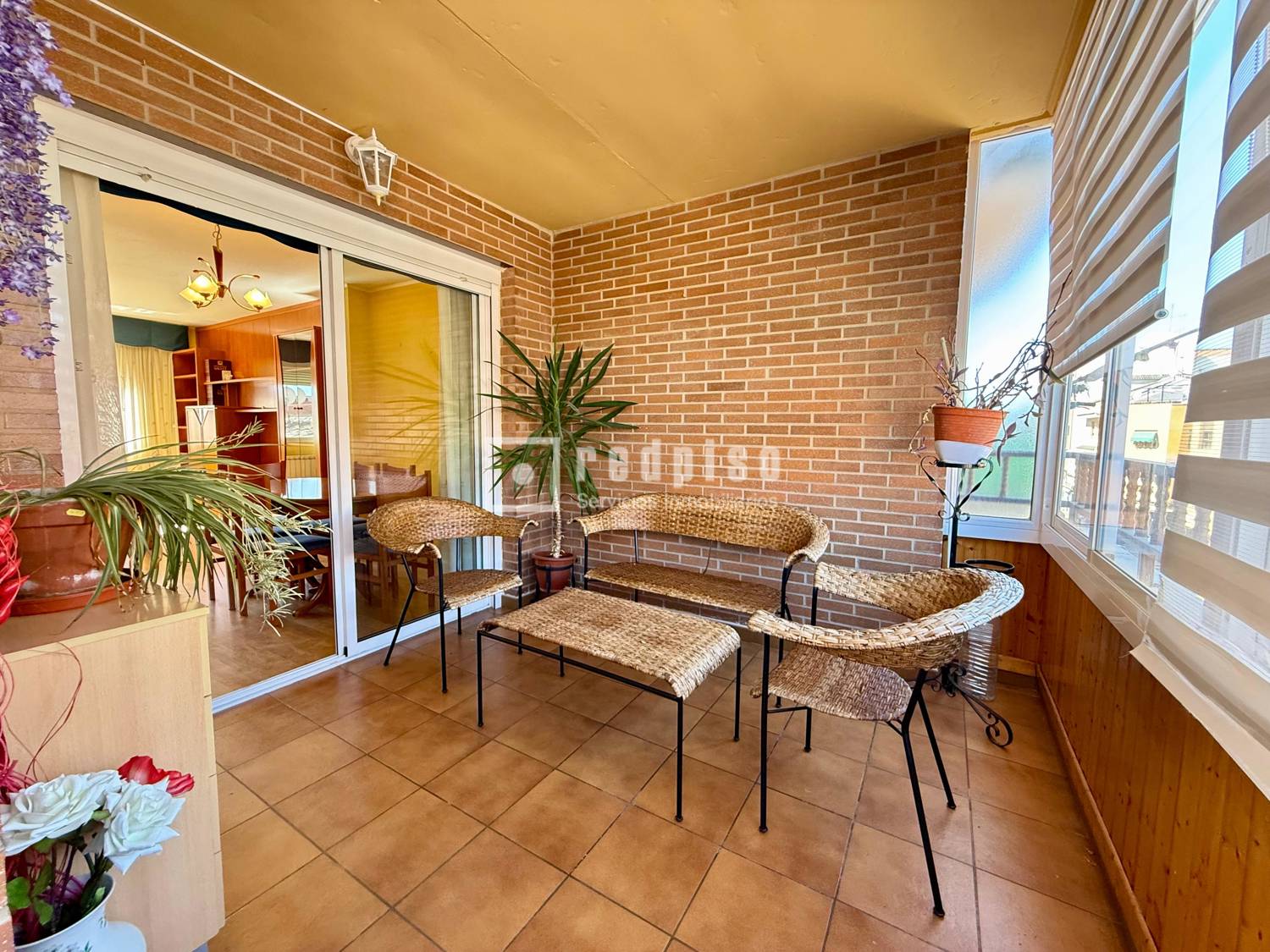 Terraza