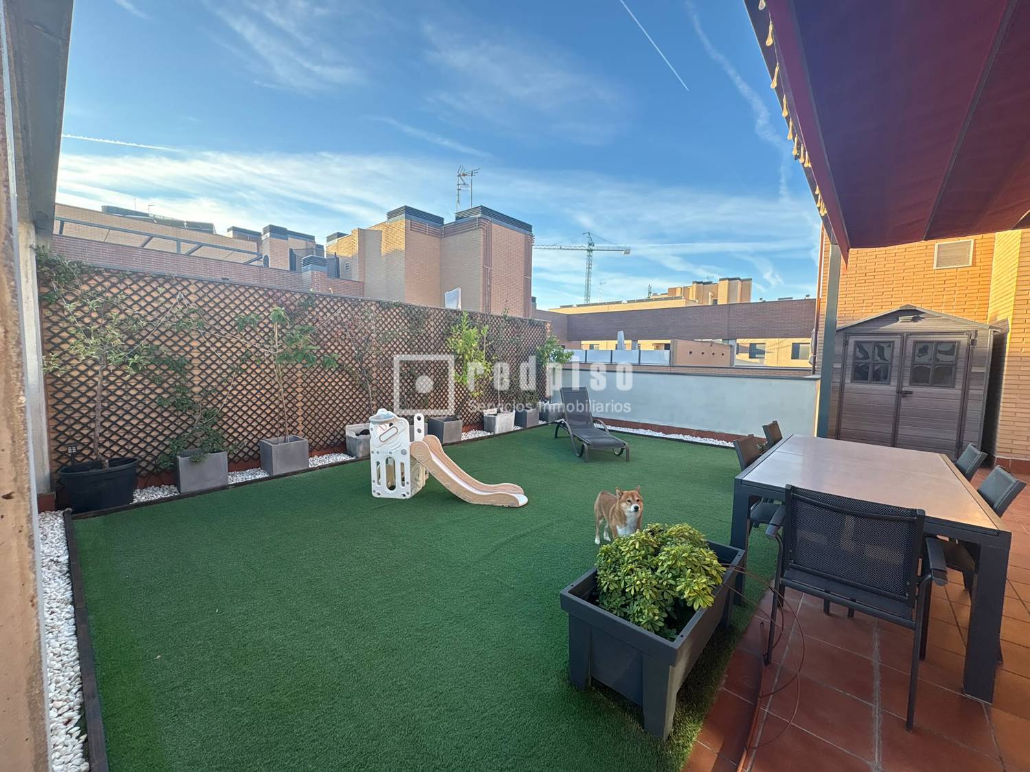 Terraza