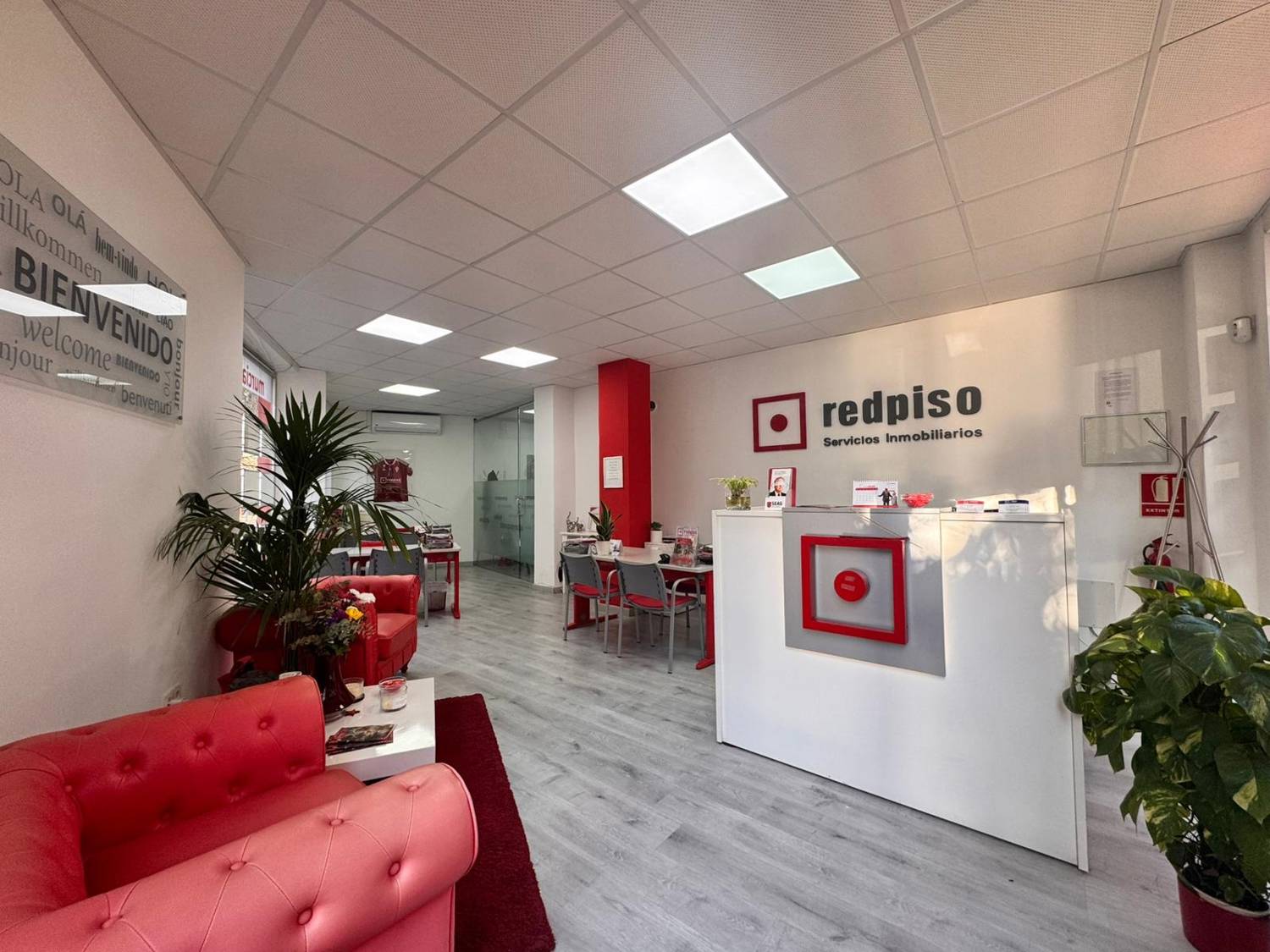 Imagen de REDPISO MURCIA